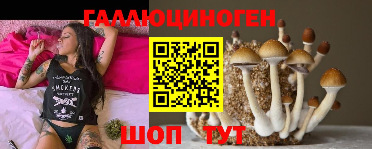 Новошахтинск  купить наркотик  Вход с VPN  Псилоцибиновые грибы мухоморы 